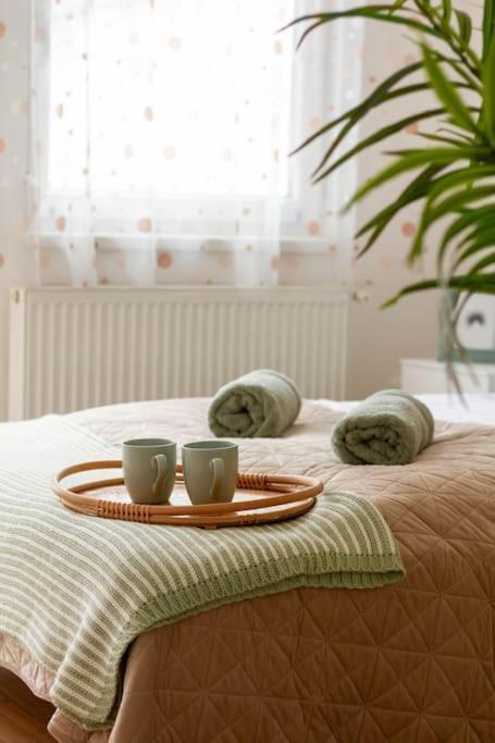 Family Lux Lounge In Voeroesmarty Street By Nw Apartment Budapest Luaran gambar